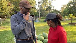 FAKE WATERMELON - How To Avoid It!