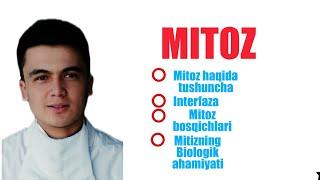 #Biologiya  #Mitoz #Kopayish           Mitoz ( Jinssiz ko'payish ) | Митоз ( Жинссиз копайиш )