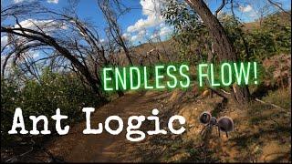 1.5kms of FLOW! | Ant Logic | Fox Creek Bike Park