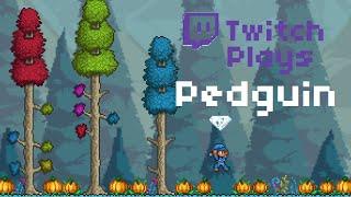 Terraria - Twitch Plays Pedguin