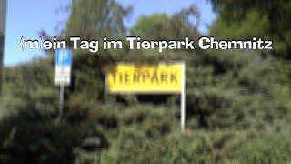 (m)ein Tag im Tierpark Chemnitz