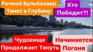 Рыба Тащит в ГлубинуБорьба Только НачинаетсяЧеловек Против Морского ЧудовищаРека ДнепрМор Рыбы