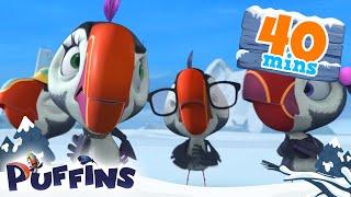 Puffins | 40 min | Pie's Puffin Party! | Cartoon For Kids | Puffins World