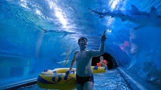 Underwater Shark Water Slide at Aquapark Reda