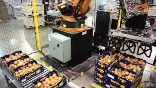 RPC & Display Ready Case Robotic Palletizing