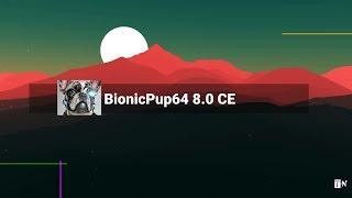 BionicPup 8 0 - built with woofce using ubuntu 18 04 bionic beaver