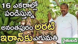 ఎకరం అరటి సాగుకు లక్ష ఖర్చు.. దిగుబడి 30 టన్నులు | Banana Farming | రైతు బడి