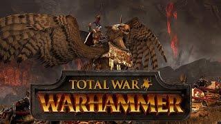 Total War WARHAMMER test