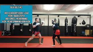 Blue Belt #2