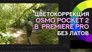 Цветокоррекция в Premiere Pro при работе с камерой Osmo Pocket 2 (без Латов) - Уроки редактирования