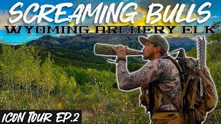 Screaming Bull Elk | Wyoming Archery Elk Hunt 2024 | Icon Tour Ep. 2