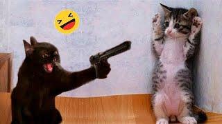 IMPOSSIBLE TRY NOT TO LAUGH  New Funny Animals 2024 