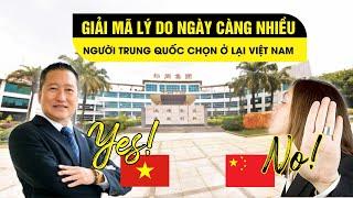 Cộng đồng mạng Trung Quốc sôi sục tại sao ngày càng nhiều người Trung Quốc sang Việt Nam Không về.