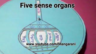 Easy Multi purpose tlm | Mangarani lessons