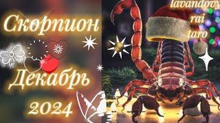 Скорпион .Декабрь 2024️.Затишье перед броском .#скорпион #таропрогноз #магия #гадание #таро