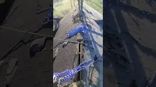 HOUSE # 65 | new Roofing job