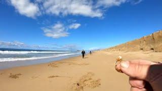 14 Rings Found Beach Metal Detecting