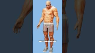 Build Muscle and Burn Fat at Same Time (Body Recomposition)