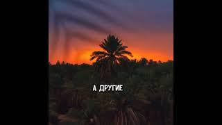 Мухаммад {С.А.В}#мухаммад #хадис #мекка #shortvideo #BlogQurana