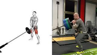 7 BEST LEG EXERCISES TO GET WIDE THIGH WORKOUT !