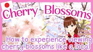 JAPAN Cherry Blossoms [Part 1] – Interesting Things to Know Before You See Them!