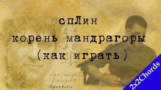 Сплин - Корень Мандрагоры (Аккорды, Как играть, Кавер)[2x2Chords]