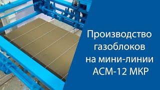 Производство газоблоков на мини-линии АСМ 12 МКР