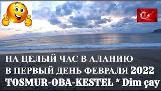 АЛАНЬЯ ТУРЦИЯ ПЕРВЫЙ ДЕНЬ ФЕВРАЛЯ ALANYA Türkiye 2022