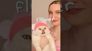 ‍⬛CUTE CAT OUTFITS