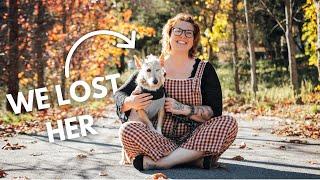 WE LOST OUR NEW RESCUE DOG | Stressful Days on the Homestead