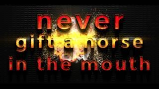 Never Gift a Horse in the Mouth