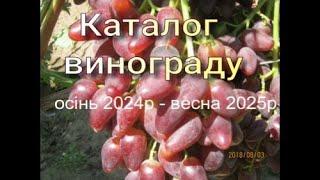 каталог саджанців винограду на осінь 2024р -весна 2025р