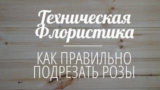 Техническая Флористика | Как правильно подрезать розы