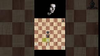 The Crazy Rook !!! #chess #shorts #viral #stalemate