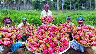 DRAGON FRUIT JAM | Homemade Jam Recipe Cooking in Village | Yummy Jam Making with Dragon Fruits