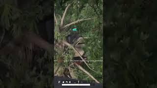 Ой, а кто тут прятался у нас? #game #pubg #pubgm #пабг #девушка