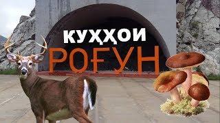 Куххои Рогун Оху Сайд Бузи Кухи Хоч Чукри Торон!