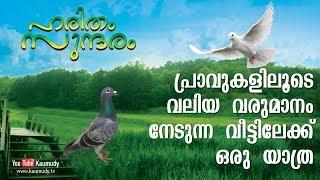 Huge profit from Pigeon farming | Haritham Sundaram | Kaumudy TV