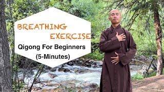 5-Minute Breathing Exercise | Qigong for Beginners