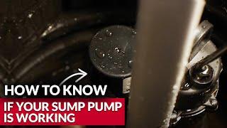 How To Know If Your Sump Pump Is Working - Ace Hardware