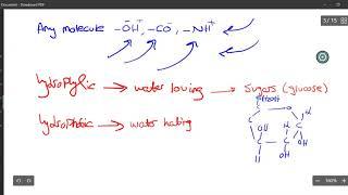 Biological Molecules Part 2 ( Lipids)