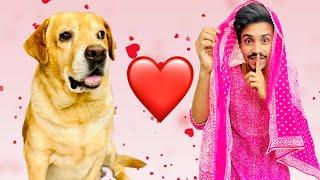 Leo ki Dulhan | Shaddi prank on my dog | Anant Rastogi