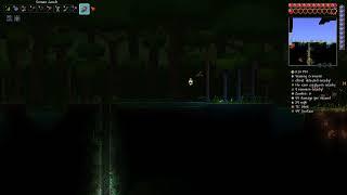 terraria demon conch at less than 1 frame per second