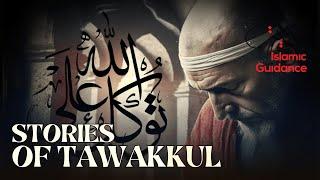 Stories Of Tawakkul In Allah