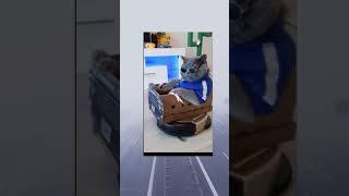 #catrider #shorts #funnyvideo