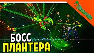 🩸 БОСС ПЛАНТЕРА! ТЕРРАРИЯ ВОИН 2023 ️ Terraria Прохождение на русском