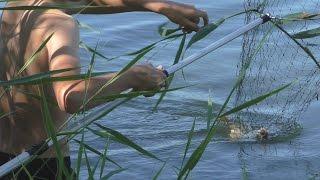 Рыбалка. Ловись рыбка большая и маленькая. My fishing.
