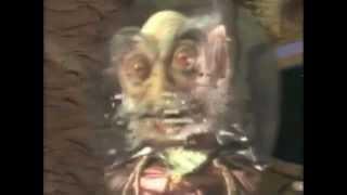 Commander Toad in Space (1993)