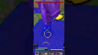 ip: mc.reallyworld.ru #minecraft #video #reallyworld