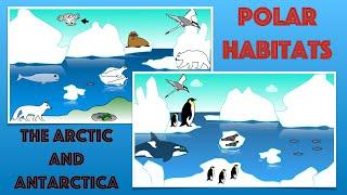 Polar Habitats for Kids| Facts and Quiz | Arctic and Antarctica